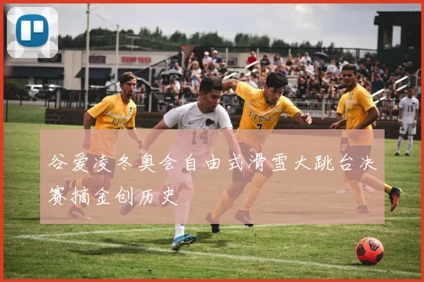 谷爱凌冬奥会自由式滑雪大跳台决赛摘金创历史