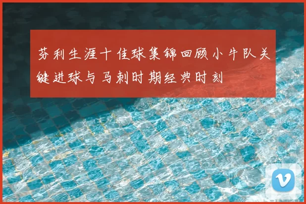 芬利生涯十佳球集锦回顾小牛队关键进球与马刺时期经典时刻