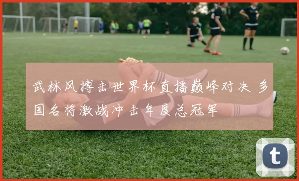 武林风搏击世界杯直播巅峰对决 多国名将激战冲击年度总冠军